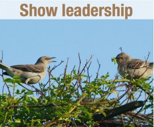 show leadership
