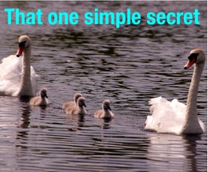 that one simple secret